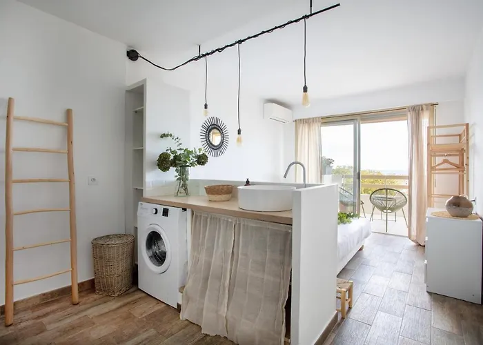 Vue Mer, Terrasse Et Parking Prive